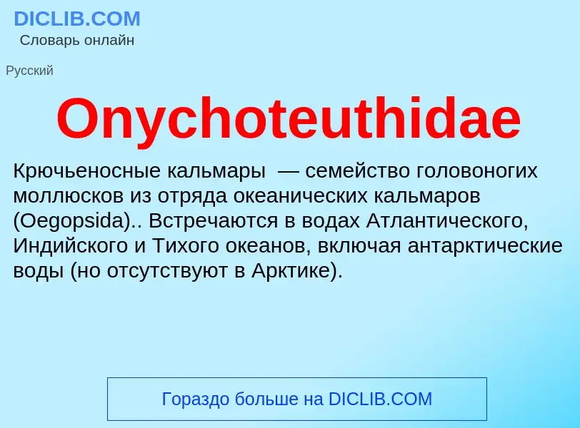 Wat is Onychoteuthidae - definition