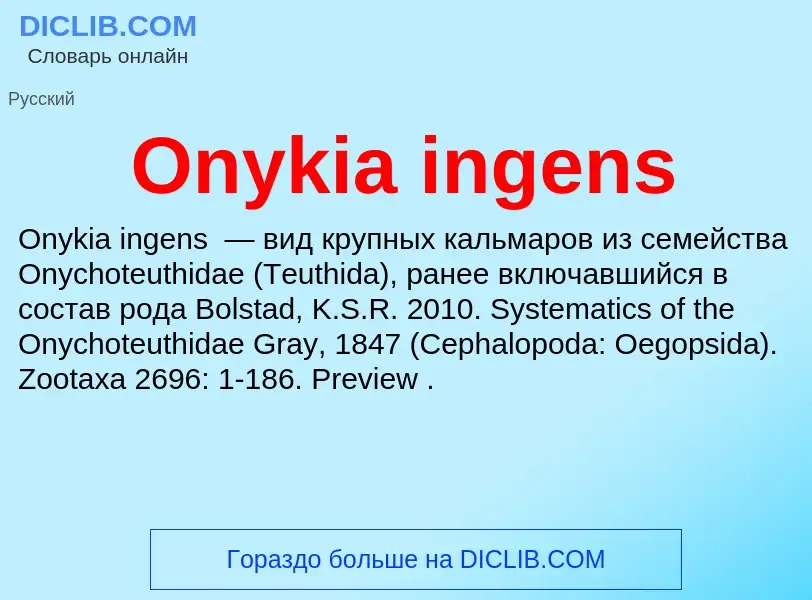 Что такое Onykia ingens - определение