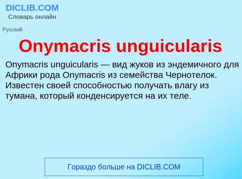 Wat is Onymacris unguicularis - definition