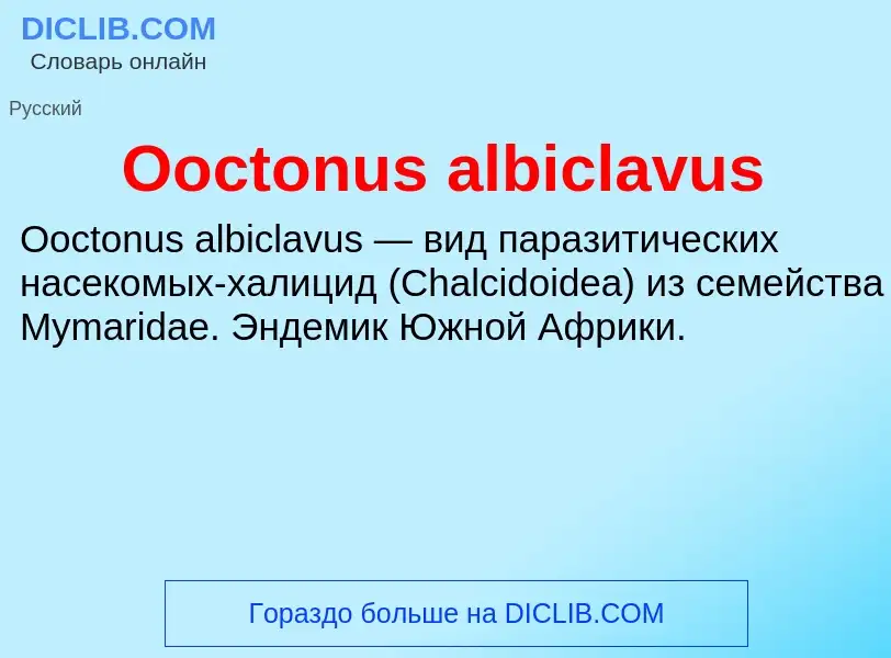 Wat is Ooctonus albiclavus - definition