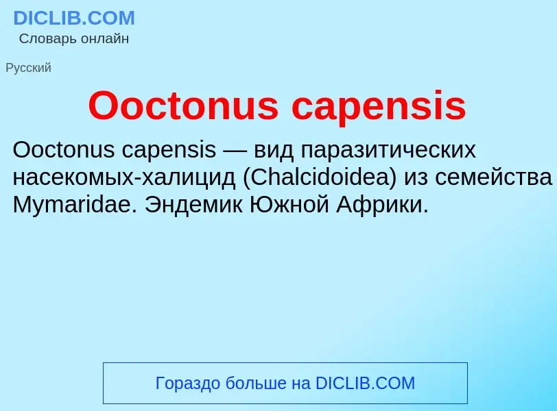 Что такое Ooctonus capensis - определение