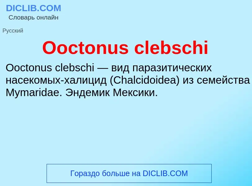 Wat is Ooctonus clebschi - definition