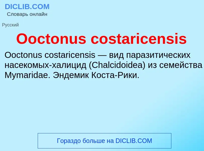 Что такое Ooctonus costaricensis - определение