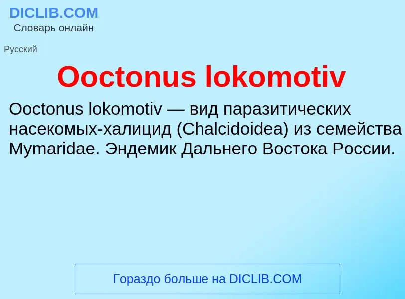 Что такое Ooctonus lokomotiv - определение