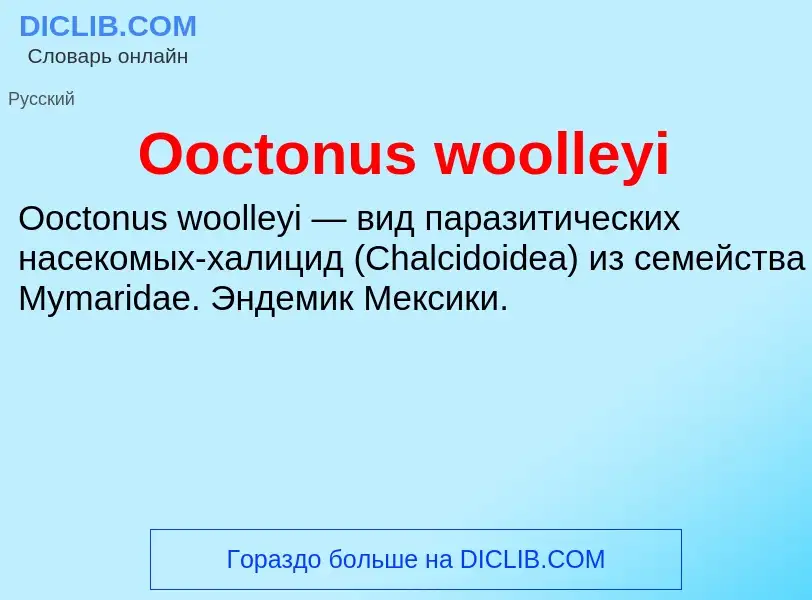 Wat is Ooctonus woolleyi - definition