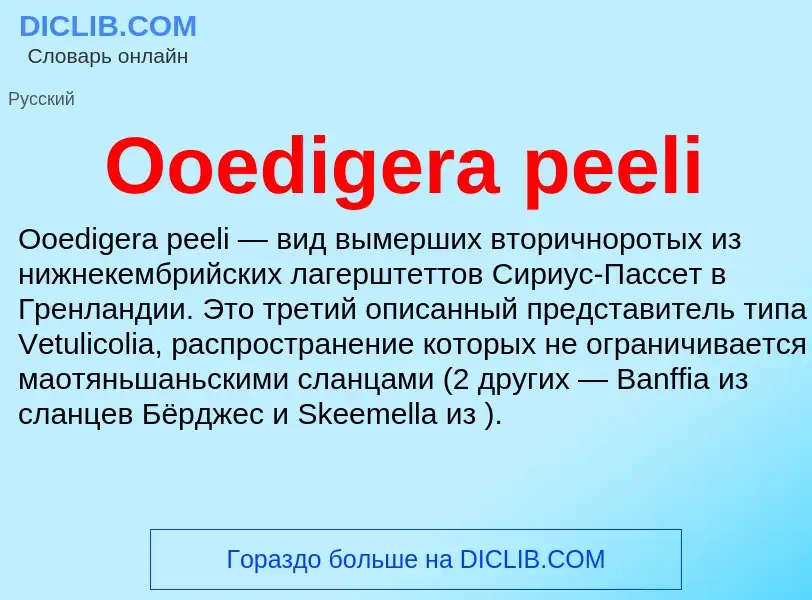 Что такое Ooedigera peeli - определение