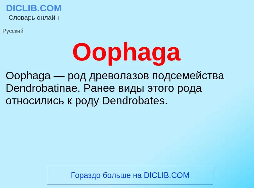 Что такое Oophaga - определение