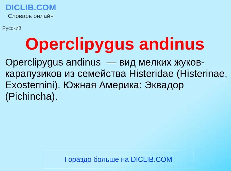 Wat is Operclipygus andinus - definition