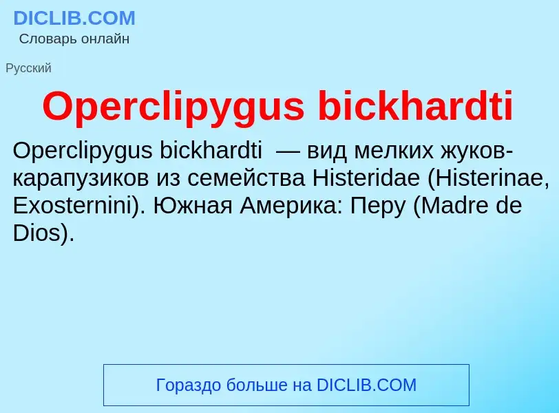 Что такое Operclipygus bickhardti - определение