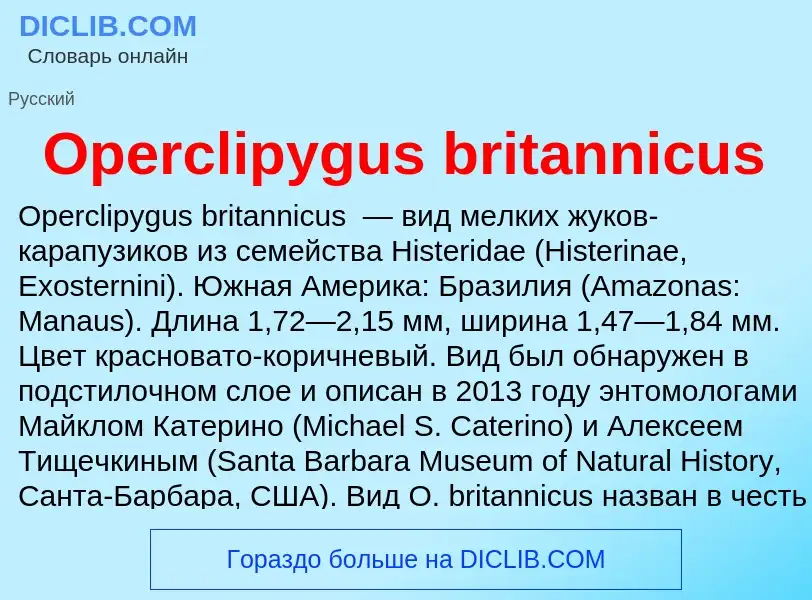 Wat is Operclipygus britannicus - definition