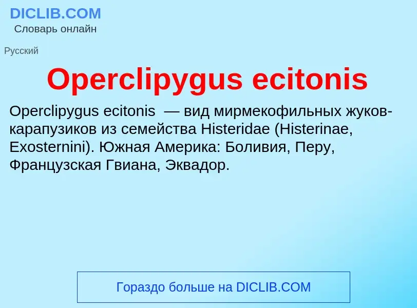 Что такое Operclipygus ecitonis - определение