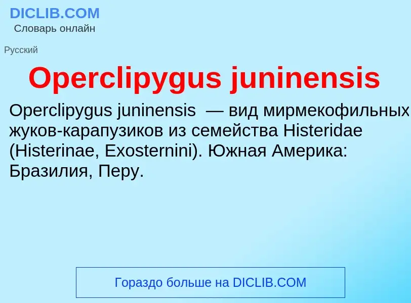 Что такое Operclipygus juninensis - определение