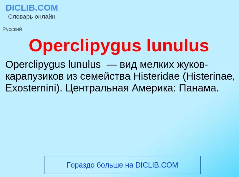 Wat is Operclipygus lunulus - definition