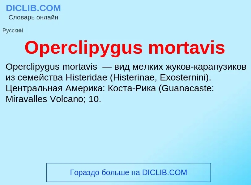 Что такое Operclipygus mortavis - определение