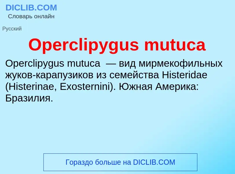 Что такое Operclipygus mutuca - определение