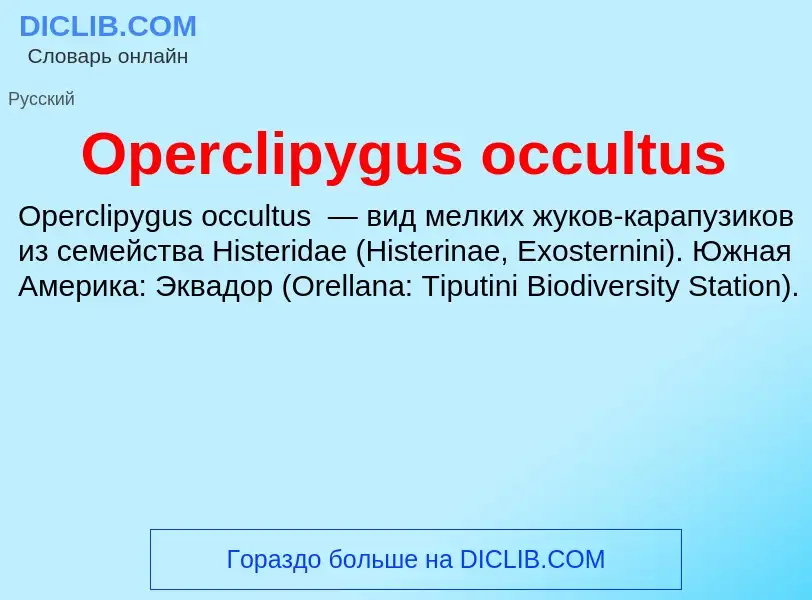 Wat is Operclipygus occultus - definition