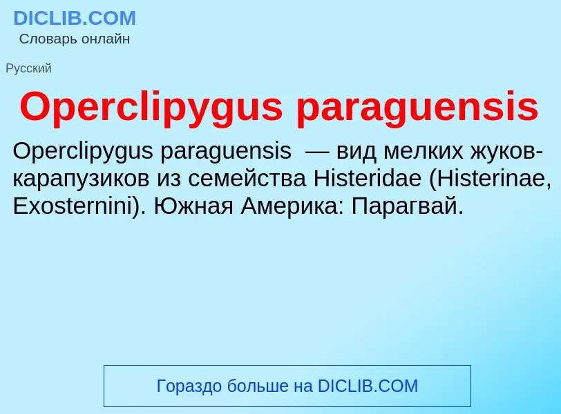 Что такое Operclipygus paraguensis - определение