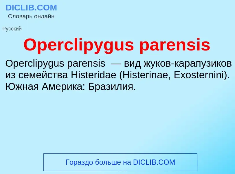 Wat is Operclipygus parensis - definition