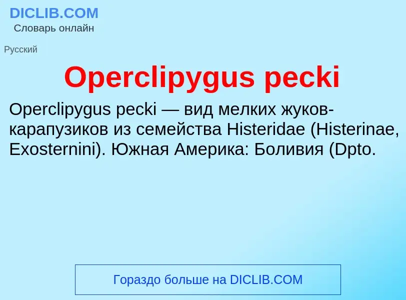 Что такое Operclipygus pecki - определение