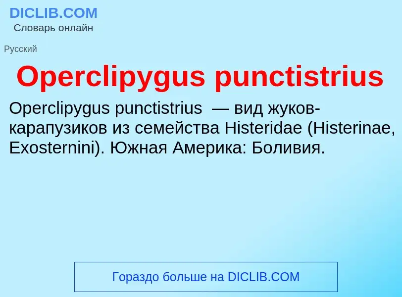 Wat is Operclipygus punctistrius - definition