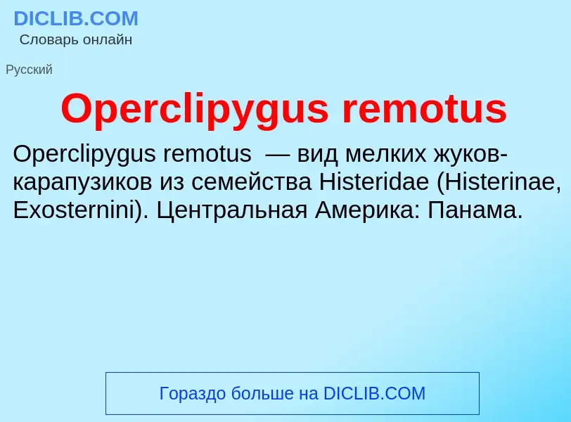 Wat is Operclipygus remotus - definition