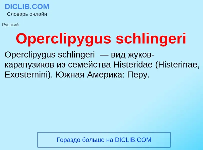 Wat is Operclipygus schlingeri - definition