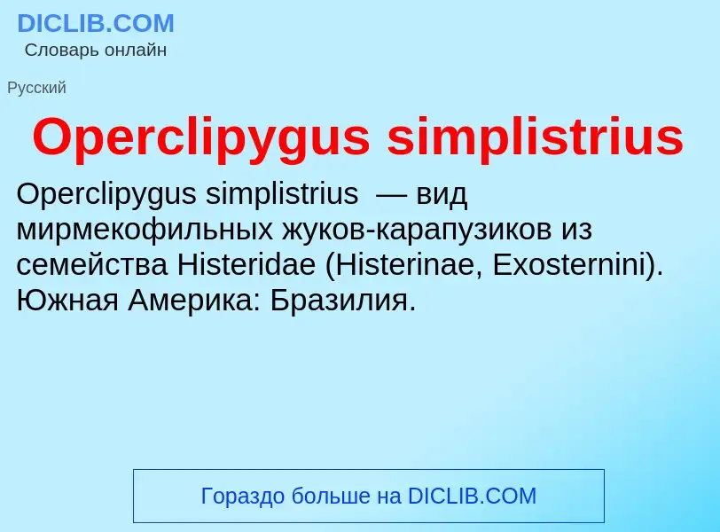 Wat is Operclipygus simplistrius - definition