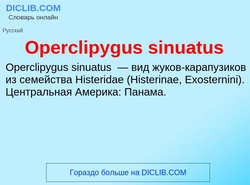 Wat is Operclipygus sinuatus - definition