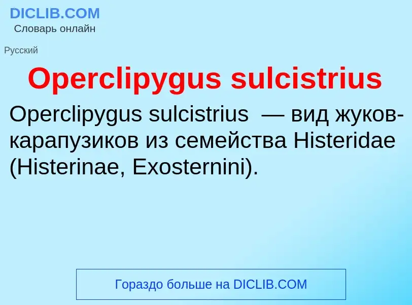 Wat is Operclipygus sulcistrius - definition