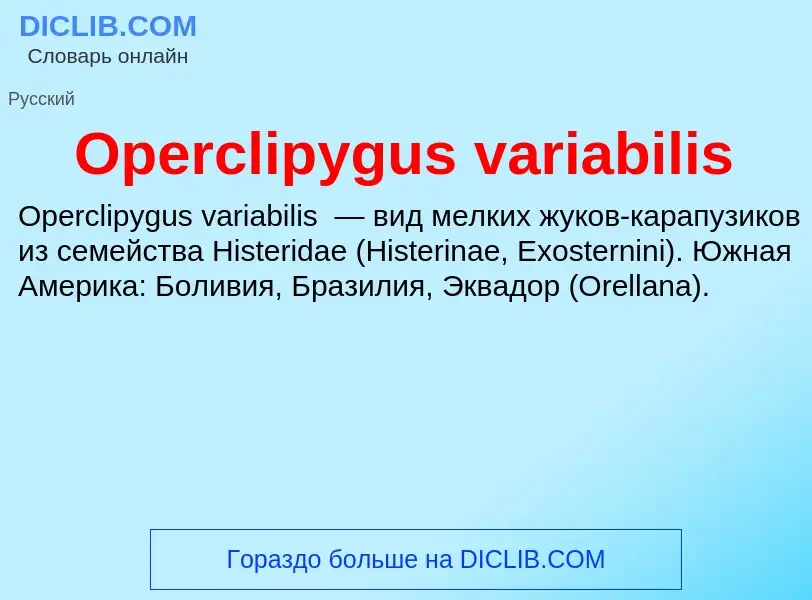 Что такое Operclipygus variabilis - определение