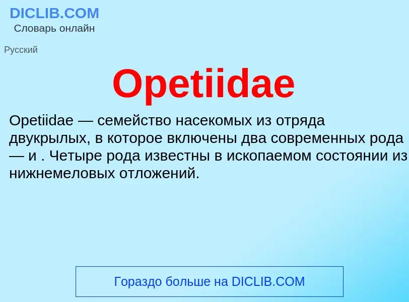 Wat is Opetiidae - definition