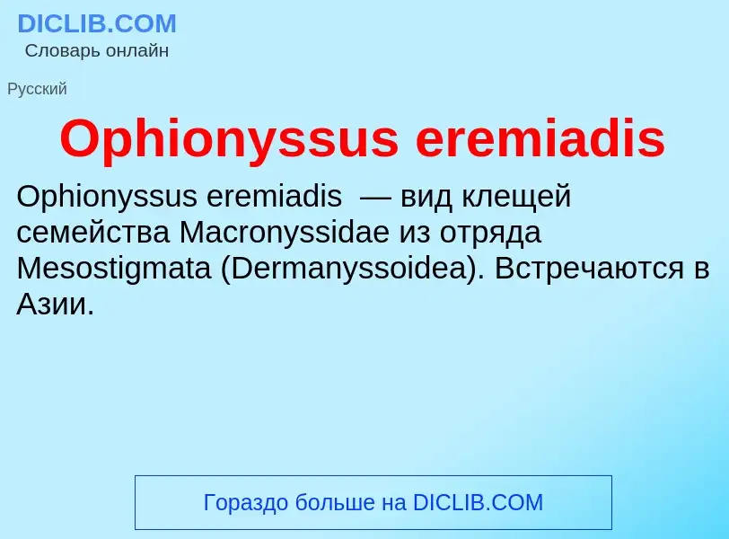 Wat is Ophionyssus eremiadis - definition