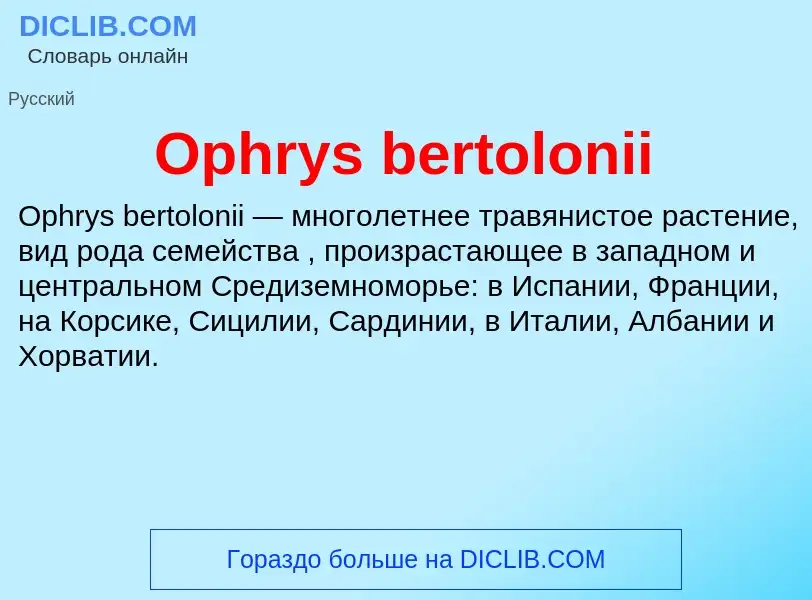 Что такое Ophrys bertolonii - определение