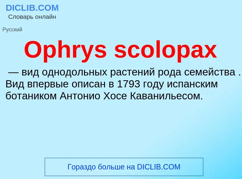 Что такое Ophrys scolopax - определение