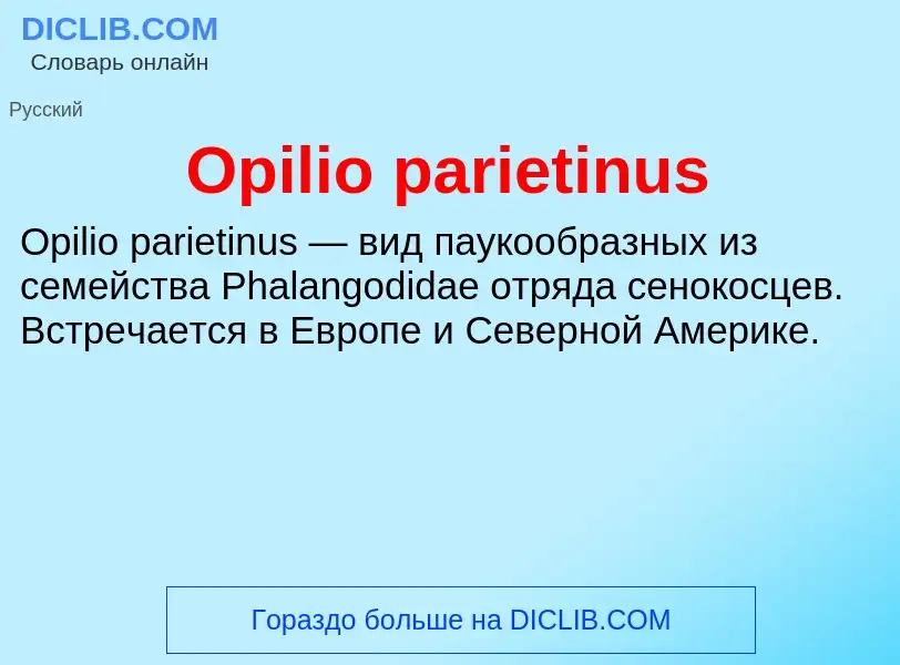 Что такое Opilio parietinus - определение