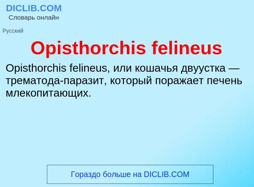 Wat is Opisthorchis felineus - definition