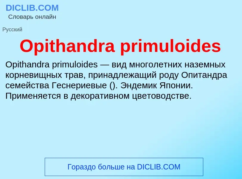 Что такое Opithandra primuloides - определение