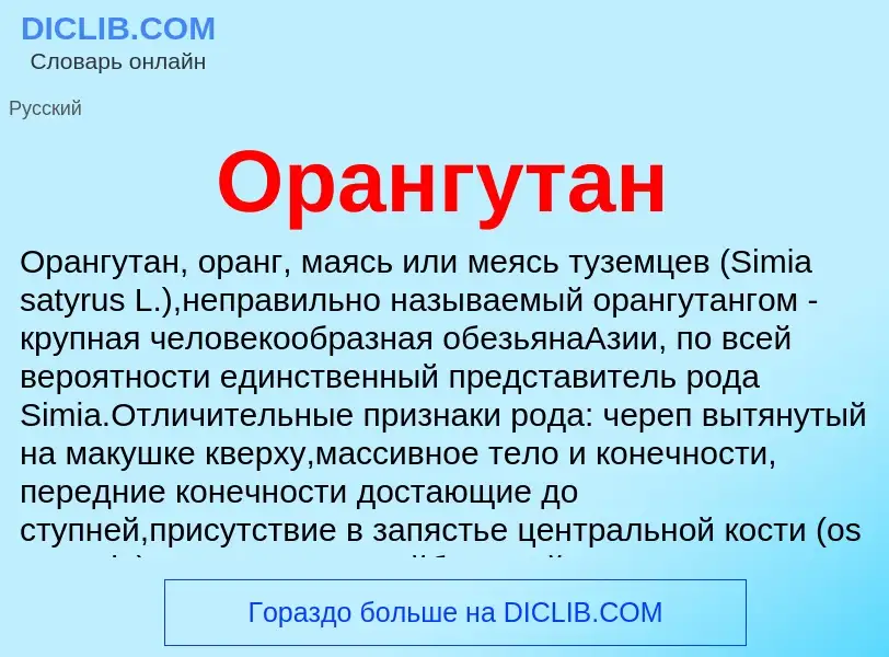 O que é Орангутан - definição, significado, conceito