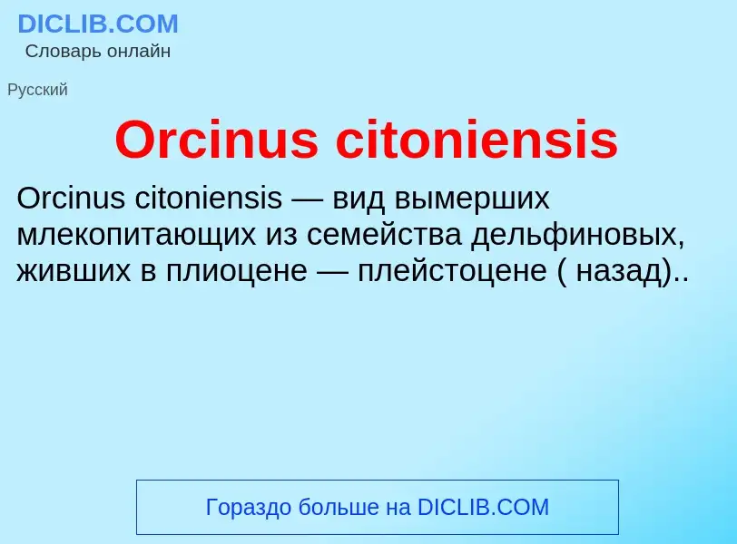 Wat is Orcinus citoniensis - definition