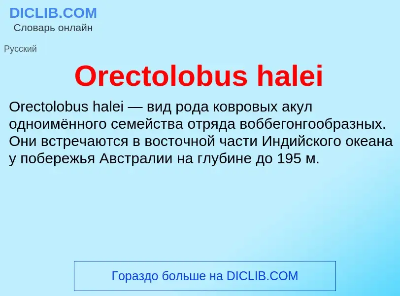 Wat is Orectolobus halei - definition