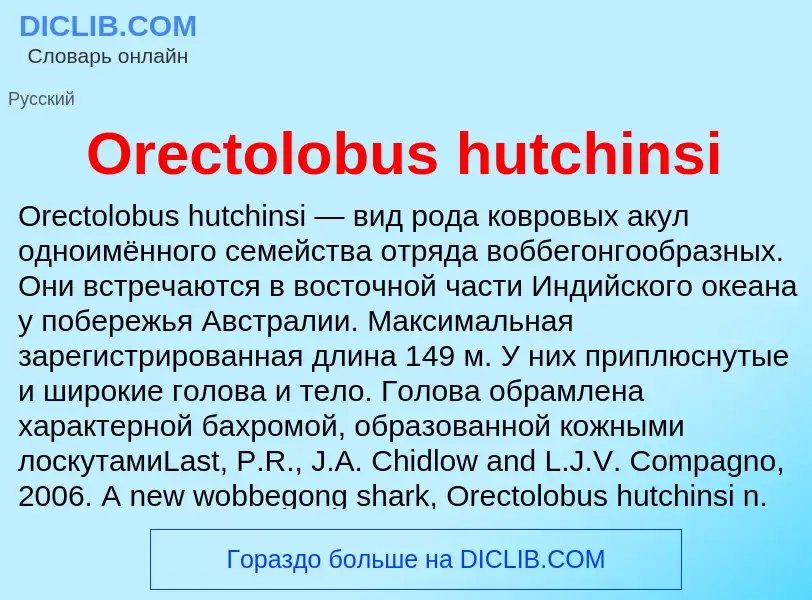 Wat is Orectolobus hutchinsi - definition