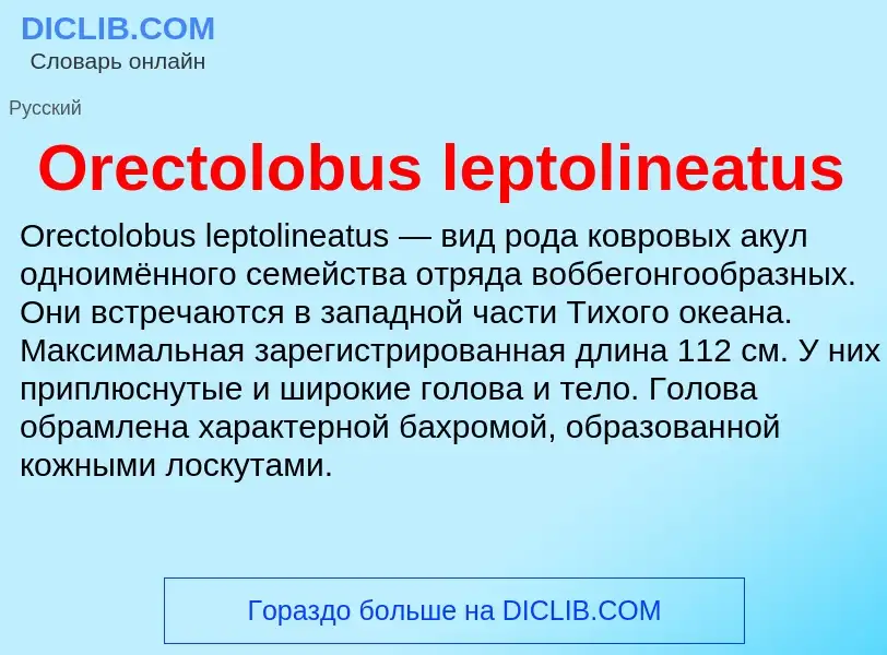 Что такое Orectolobus leptolineatus - определение