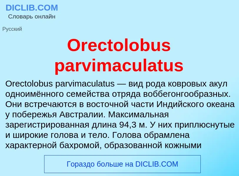 Τι είναι Orectolobus parvimaculatus - ορισμός