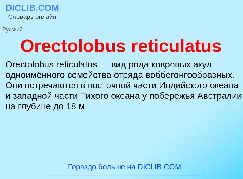 Wat is Orectolobus reticulatus - definition