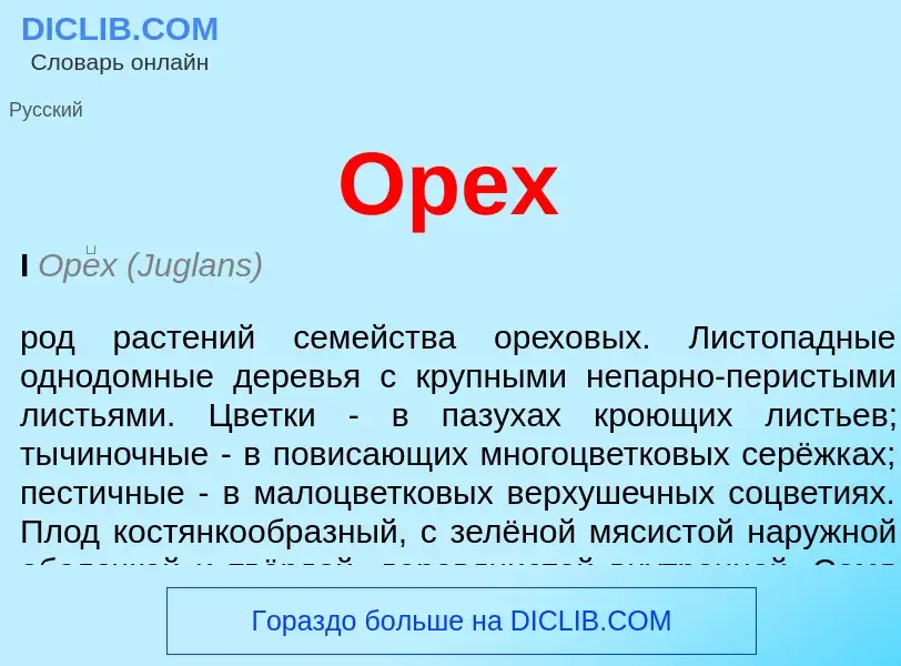 Что такое Орех - определение