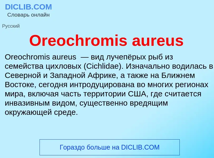 Wat is Oreochromis aureus - definition