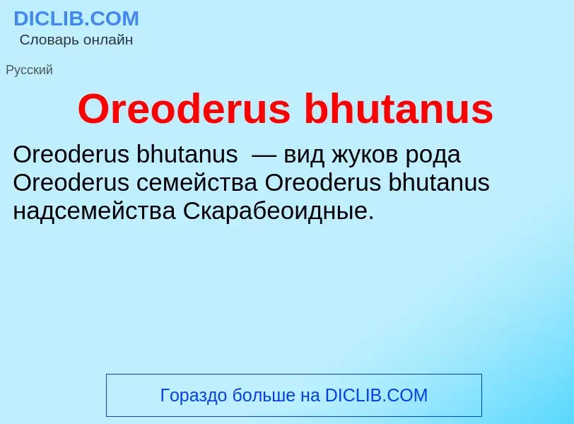 Wat is Oreoderus bhutanus - definition