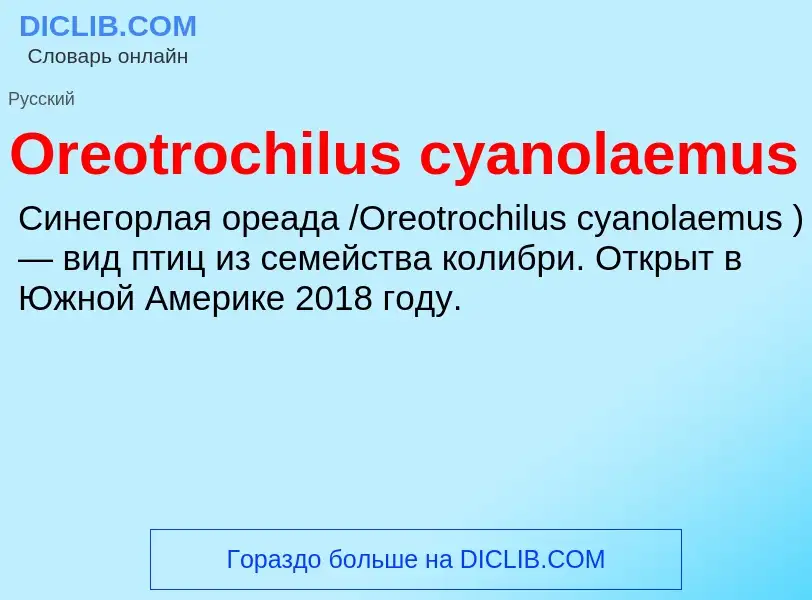 Wat is Oreotrochilus cyanolaemus - definition