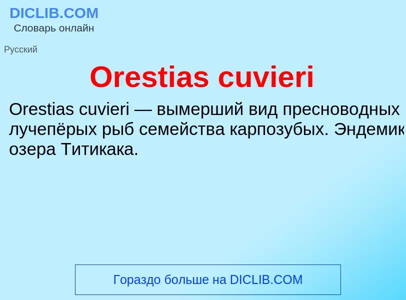 Wat is Orestias cuvieri - definition