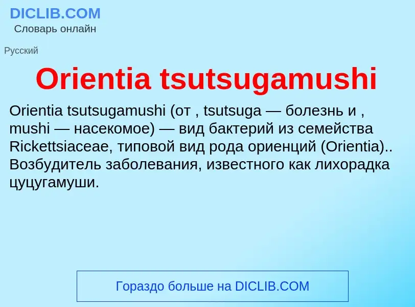 Wat is Orientia tsutsugamushi - definition